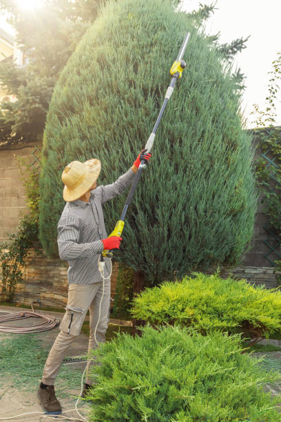 Why Choose Our Tree Removal Services in Fords Prairie, WA?